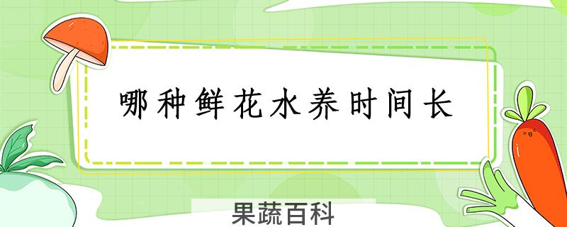 哪种鲜花水养时间长