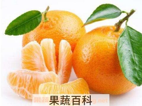 白糖蒸柑橘的功效与作用