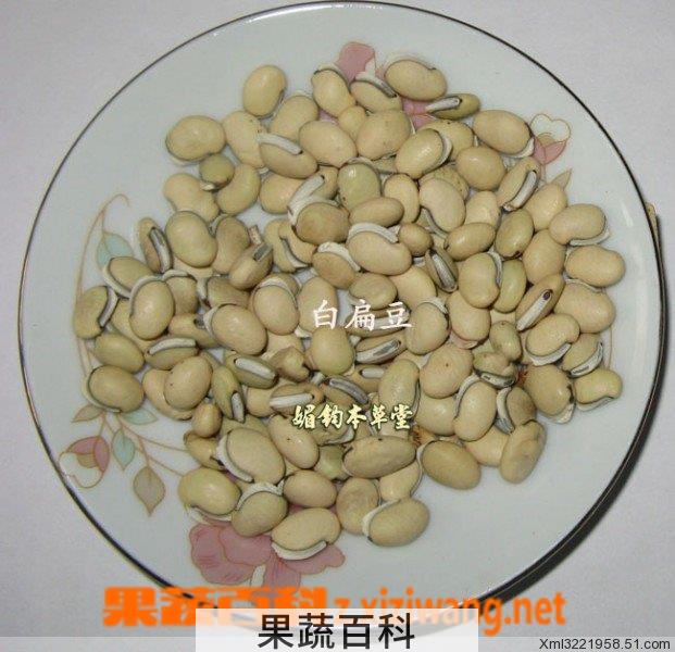 果蔬百科白扁豆粥