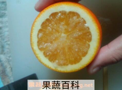 蒸橙子治咳嗽的功效与作用以及原理