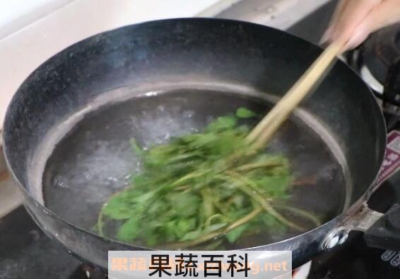 马齿菜煮水喝的功效 马齿菜煮水洗脸的功效