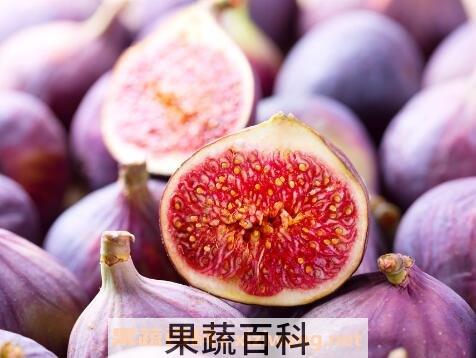 白糖蒸无花果的功效与作用
