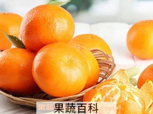 橙子上火吗 吃橙子的好处有哪些
