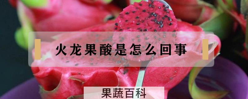 火龙果酸是怎么回事