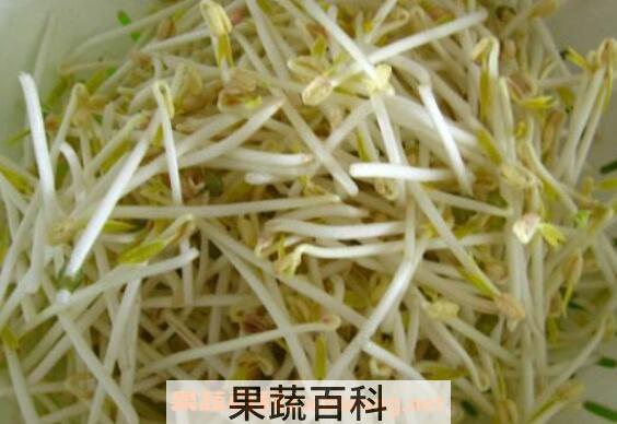 如何生产豆芽 豆芽的生产方法