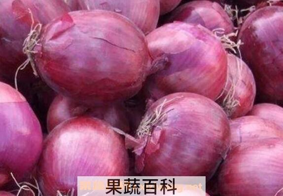 洋葱的功效与作用 吃洋葱的好处