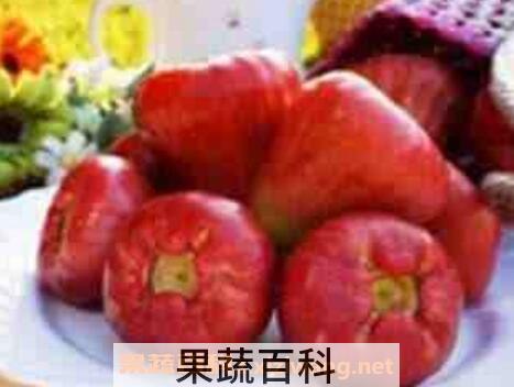 莲雾怎么吃 吃莲雾的注意事项