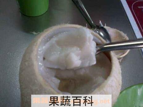  椰子肉怎么吃 椰子肉的吃法技巧