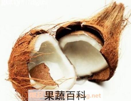  椰子肉怎么吃 椰子肉的吃法技巧