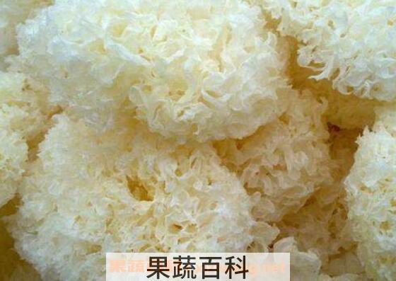 银耳为什么不能天天吃 吃银耳的禁忌