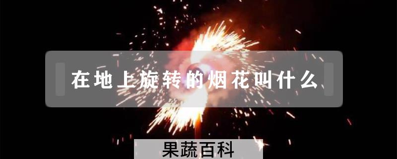 在地上旋转的烟花叫什么