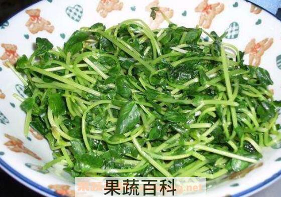 豌豆芽怎么做好吃 豌豆芽做法大全