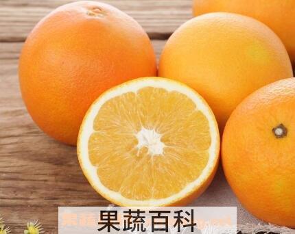 蒸橙子蜂蜜水的功效与作用