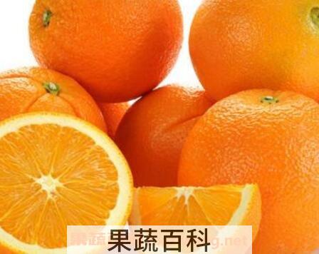 蒸橙子蜂蜜水的功效与作用
