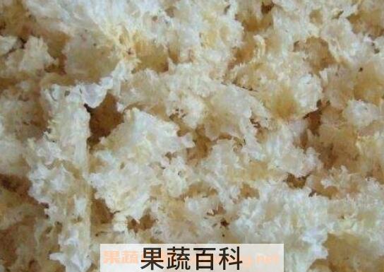  银耳不能和什么一起吃 银耳和什么相克