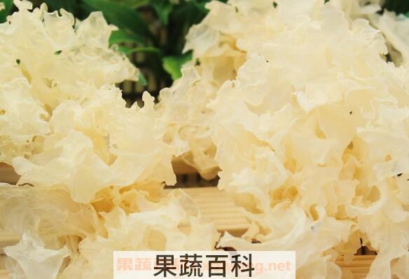  银耳不能和什么一起吃 银耳和什么相克