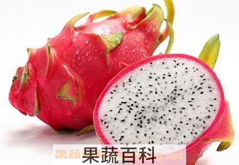 白肉火龙果的功效与作用