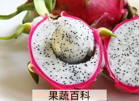 白肉火龙果的功效与作用