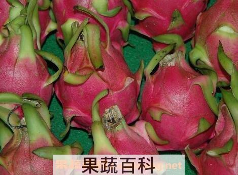 百香果和火龙果的功效与作用