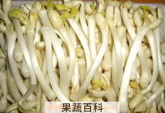 花生芽的营养价值与功效