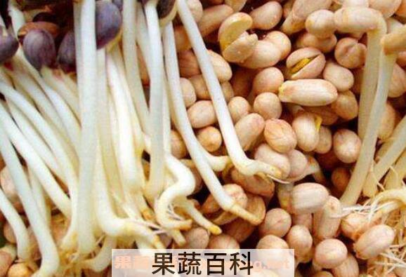 花生芽的营养价值与功效