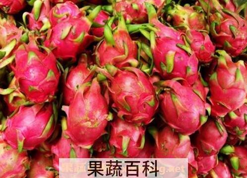 白血病能吃火龙果吗 哪些人不能吃火龙果