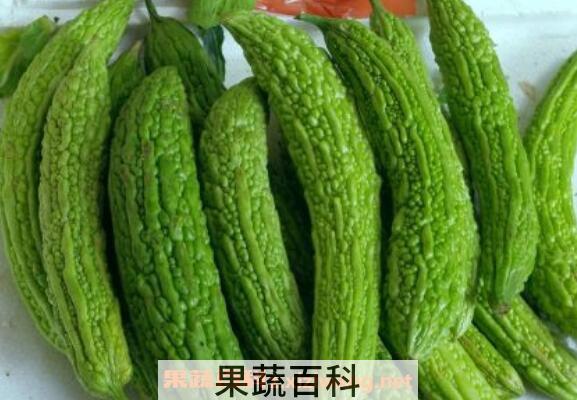 苦瓜怎么吃 苦瓜的做法教程