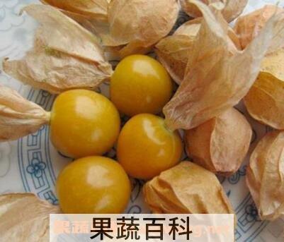黄姑娘果皮泡水的功效