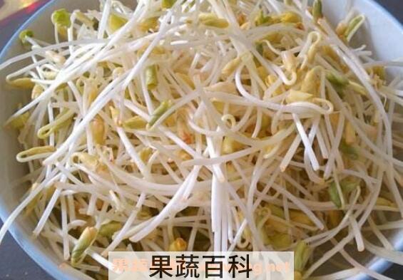 荞麦芽的营养价值与功效