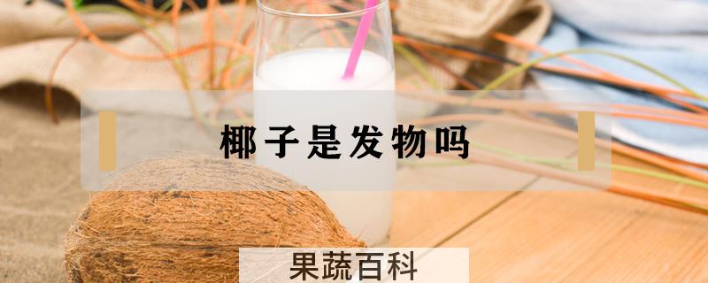 椰子是发物吗
