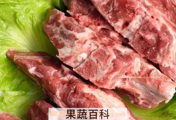 狗的脊骨的功效与作用