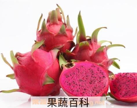 火龙果的营养成分和营养价值