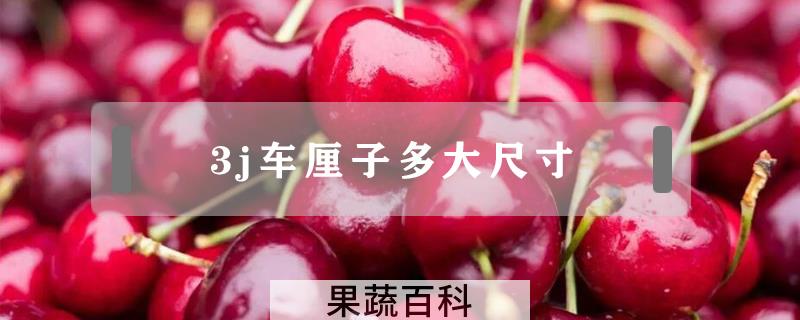3j车厘子多大尺寸