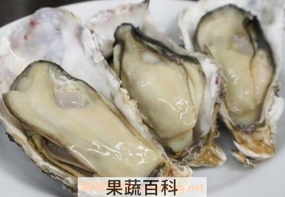 生蚝怎么吃 生蚝的功效