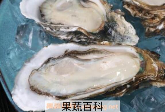 生蚝怎么吃 生蚝的功效