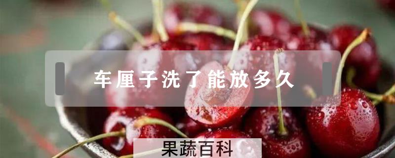 车厘子洗了能放多久