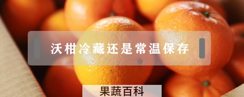 沃柑冷藏还是常温保存