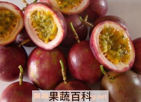 白香果皮的功效与作用