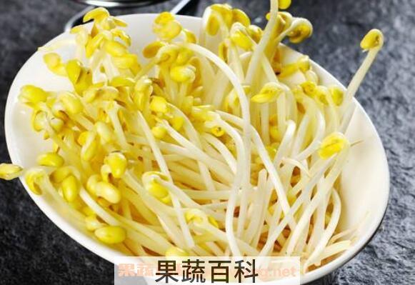  怎样生黄豆芽 自制黄豆芽的步骤教程