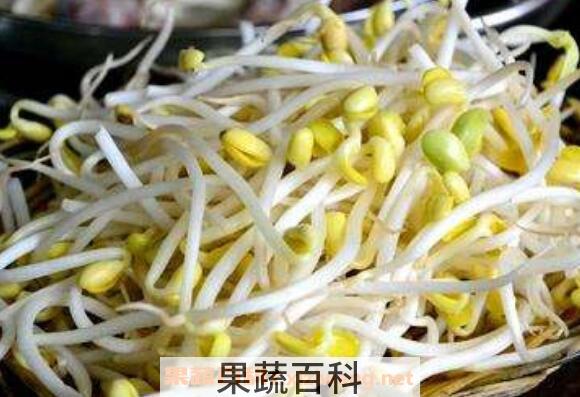  怎样生黄豆芽 自制黄豆芽的步骤教程
