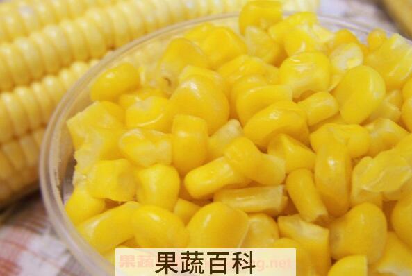 玉米芽的营养价值与功效