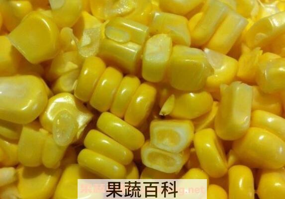 玉米芽的营养价值与功效