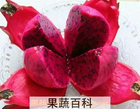 白肉火龙果和红肉火龙果的区别