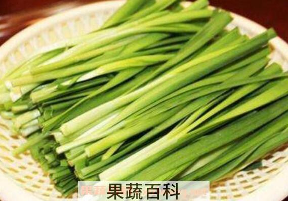 韭菜的功效与作用 韭菜的食用禁忌