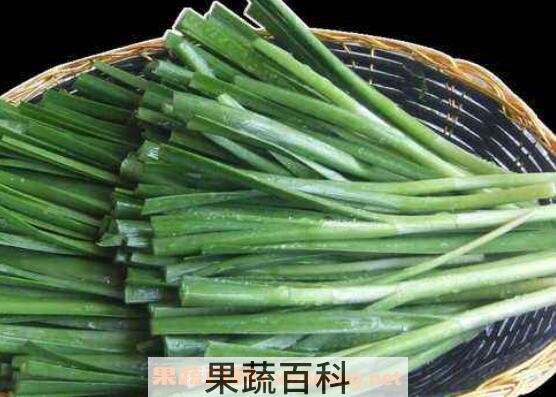 韭菜的功效与作用 韭菜的食用禁忌