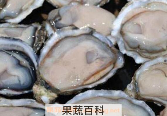 女人吃生蚝的好处和坏处