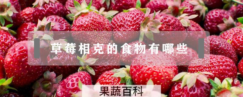 草莓相克的食物有哪些