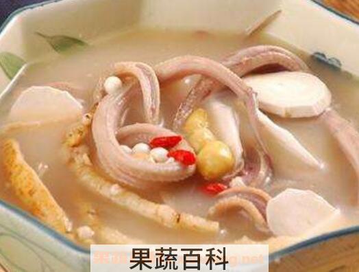 蛇汤的功效与禁忌