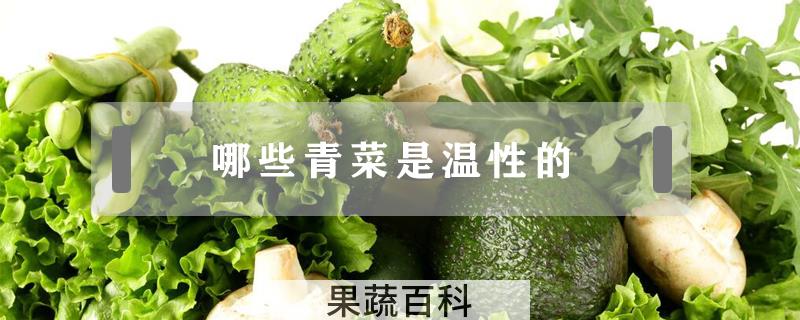 哪些青菜是温性的
