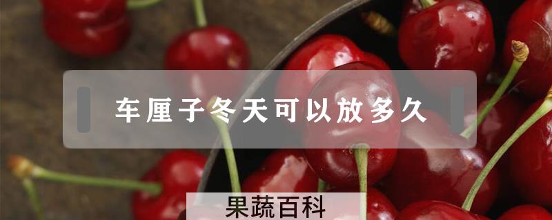 车厘子冬天可以放多久